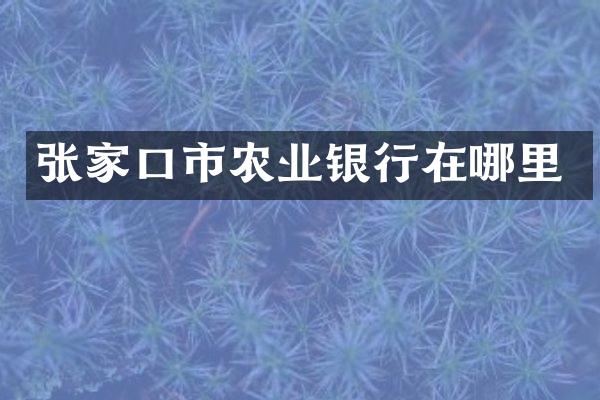 张家口市农业银行在哪里