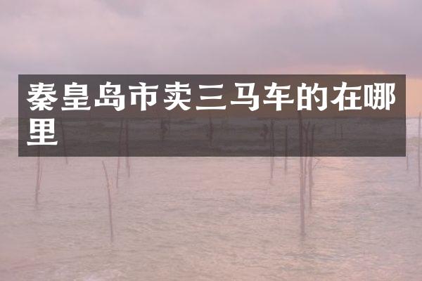 秦皇岛市卖三马车的在哪里