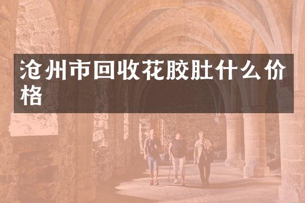 沧州市回收花胶肚什么价格