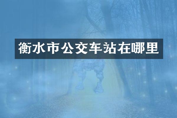 衡水市公交车站在哪里
