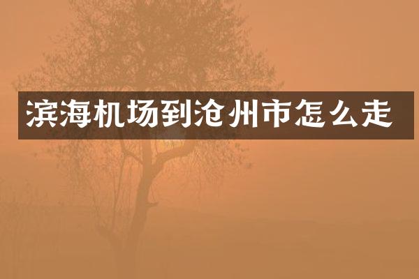 滨海机场到沧州市怎么走