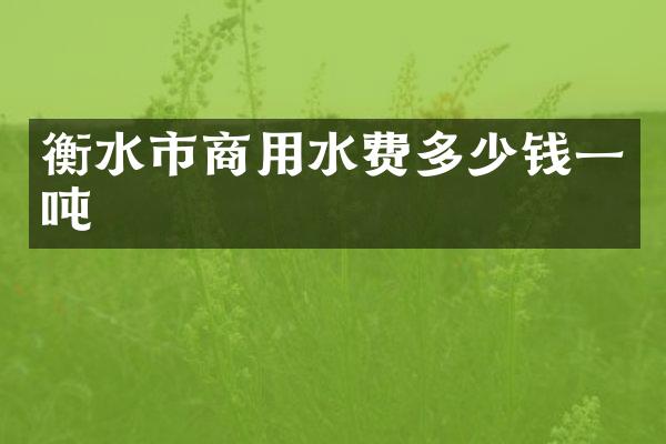 衡水市商用水费多少钱一吨