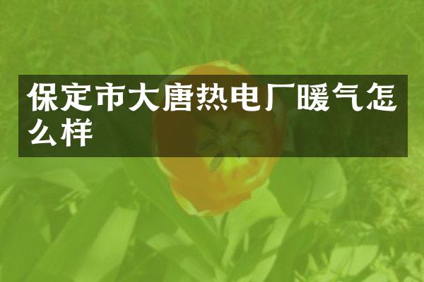 保定市大唐热电厂暖气怎么样