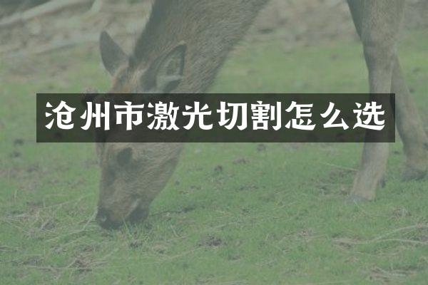 沧州市激光切割怎么选