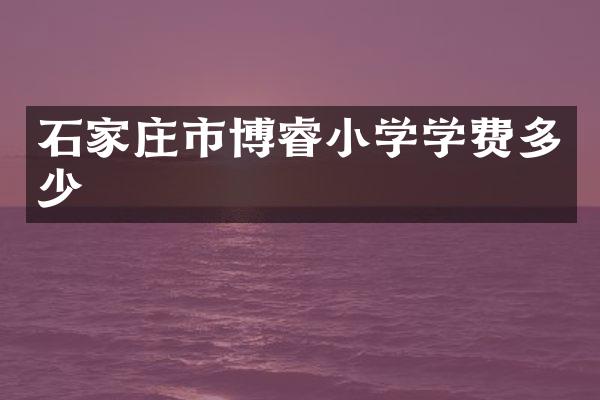 石家庄市博睿小学学费多少