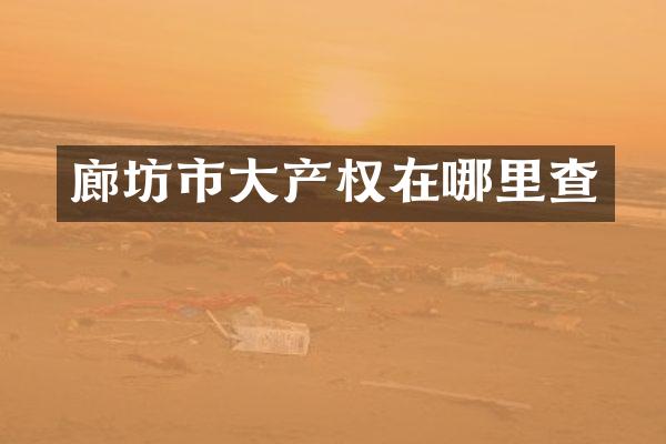 廊坊市大产权在哪里查