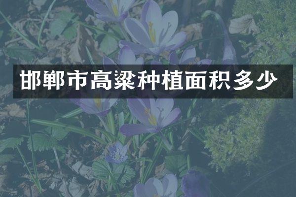 邯郸市高粱种植面积多少