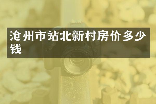 沧州市站北新村房价多少钱