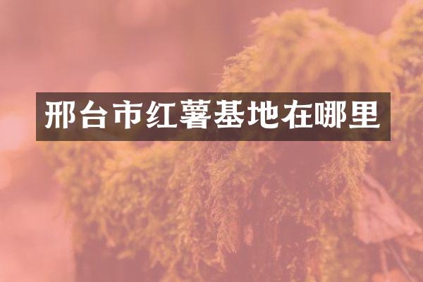 邢台市红薯基地在哪里