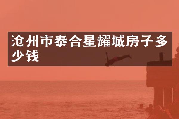 沧州市泰合星耀城房子多少钱
