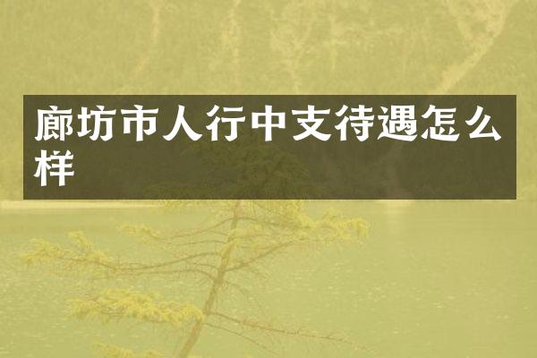 廊坊市人行中支待遇怎么样