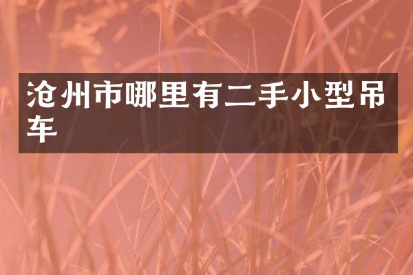 沧州市哪里有二手小型吊车