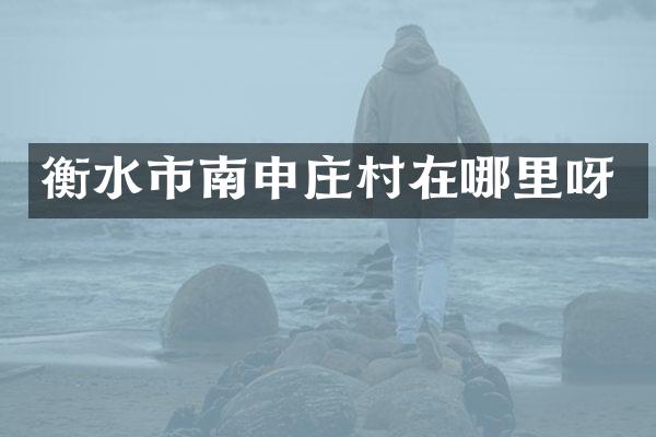 衡水市南申庄村在哪里呀