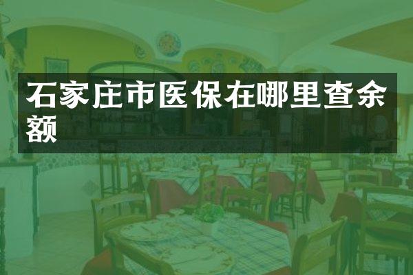 石家庄市医保在哪里查余额