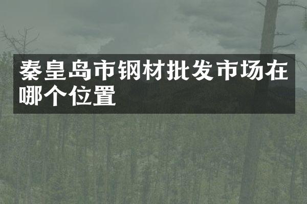 秦皇岛市钢材批发市场在哪个位置