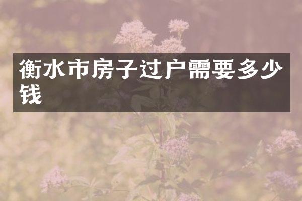 衡水市房子过户需要多少钱