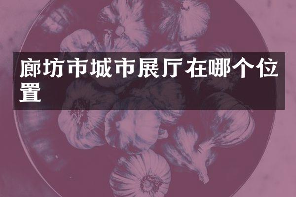 廊坊市城市展厅在哪个位置