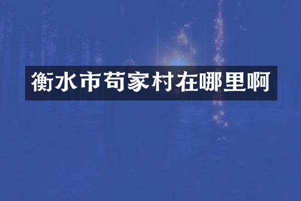 衡水市苟家村在哪里啊
