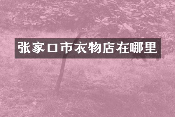 张家口市衣物店在哪里