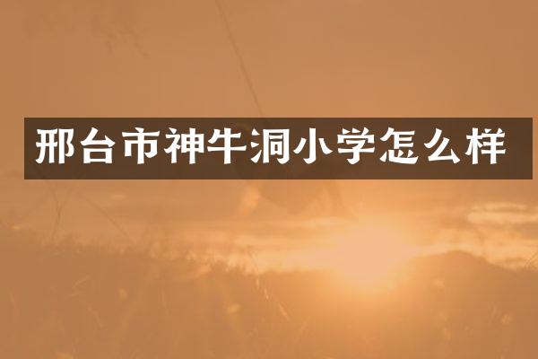 邢台市神牛洞小学怎么样