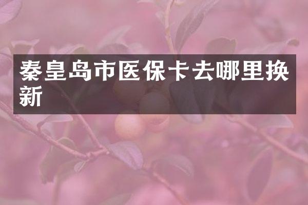 秦皇岛市医保卡去哪里换新