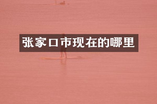 张家口市现在的哪里