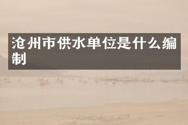 沧州市供水单位是什么编制