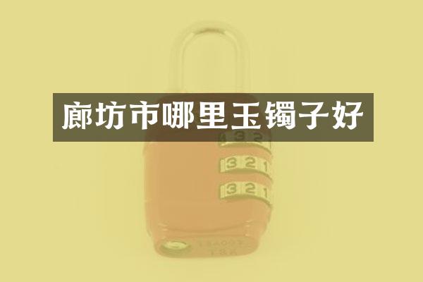 廊坊市哪里玉镯子好
