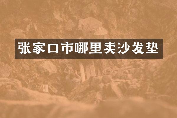 张家口市哪里卖沙发垫