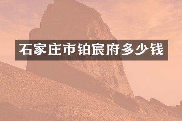 石家庄市铂宸府多少钱