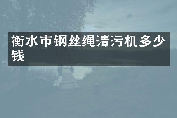衡水市钢丝绳清污机多少钱