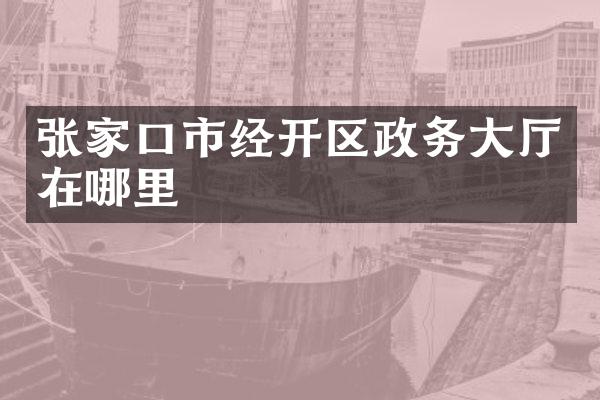 张家口市经开区政务大厅在哪里