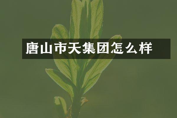 唐山市天堃集团怎么样