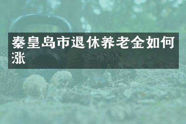秦皇岛市退休养老金如何涨