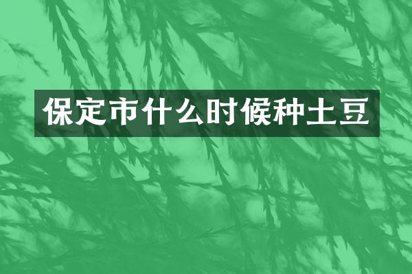 保定市什么时候种土豆