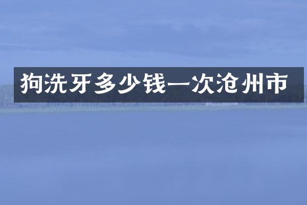 狗洗牙多少钱一次沧州市