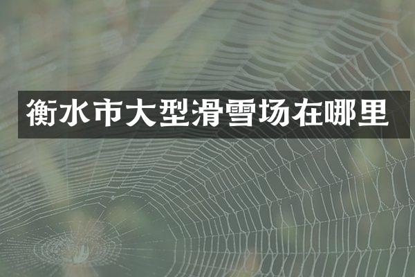 衡水市大型滑雪场在哪里