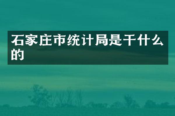 石家庄市统计局是干什么的
