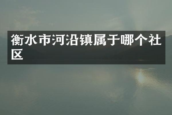衡水市河沿镇属于哪个社区