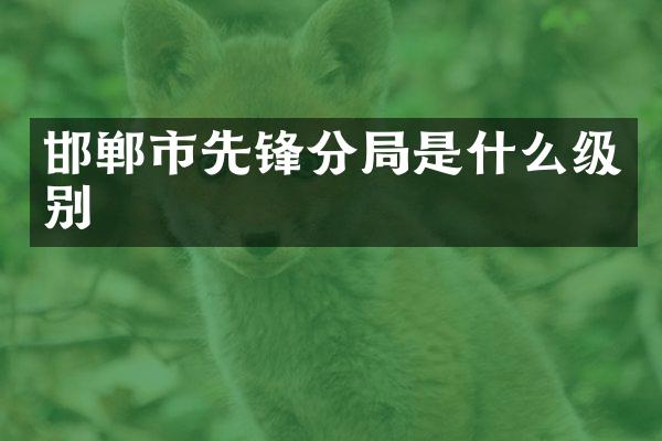邯郸市先锋分局是什么级别