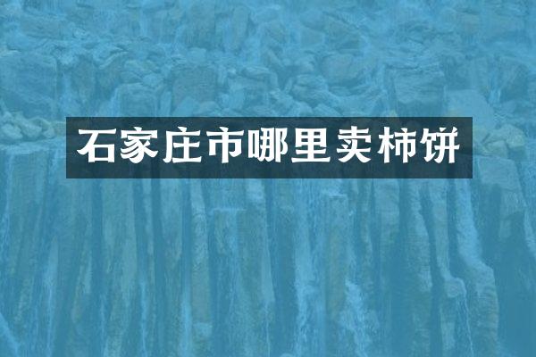 石家庄市哪里卖柿饼