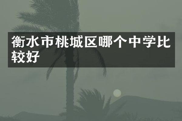 衡水市桃城区哪个中学比较好