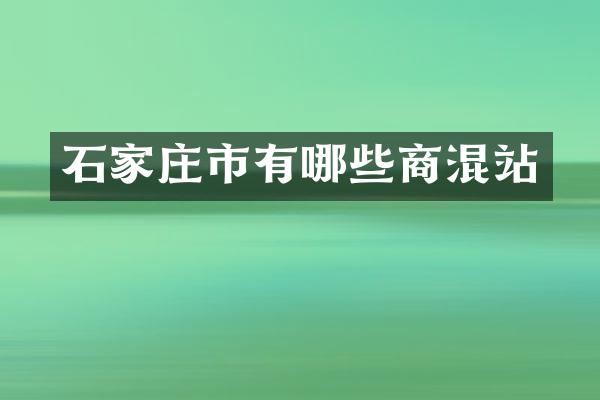 石家庄市有哪些商混站