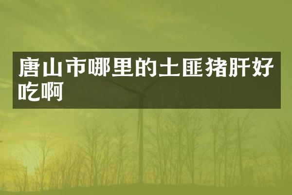 唐山市哪里的土匪猪肝好吃啊
