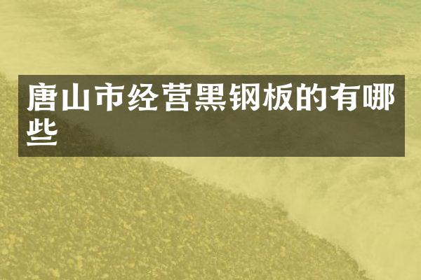 唐山市经营黑钢板的有哪些