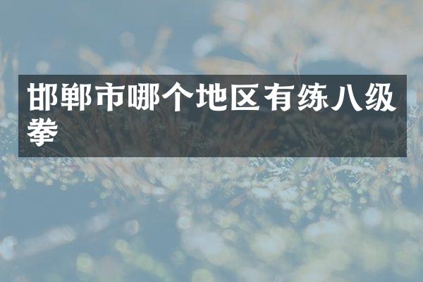 邯郸市哪个地区有练八级拳