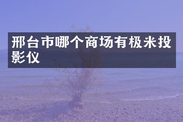 邢台市哪个商场有极米投影仪