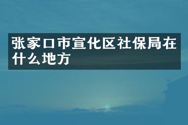 张家口市宣化区社保局在什么地方