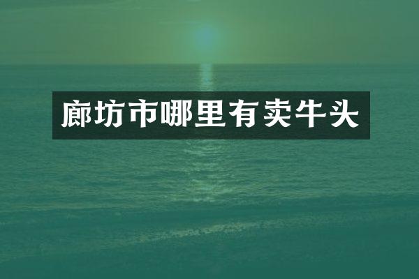 廊坊市哪里有卖牛头