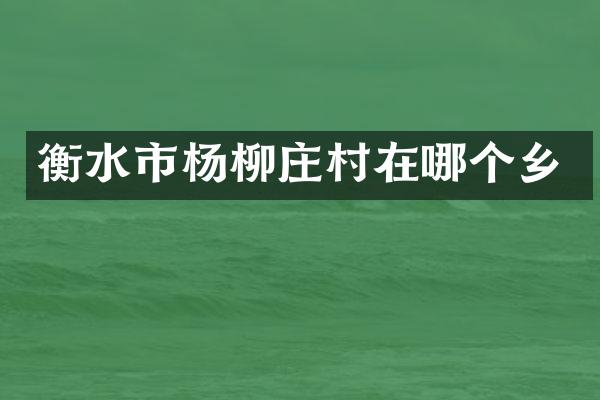 衡水市杨柳庄村在哪个乡